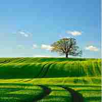 机‌器‌人‍小‍助‍手‍是‌什﻿么‍